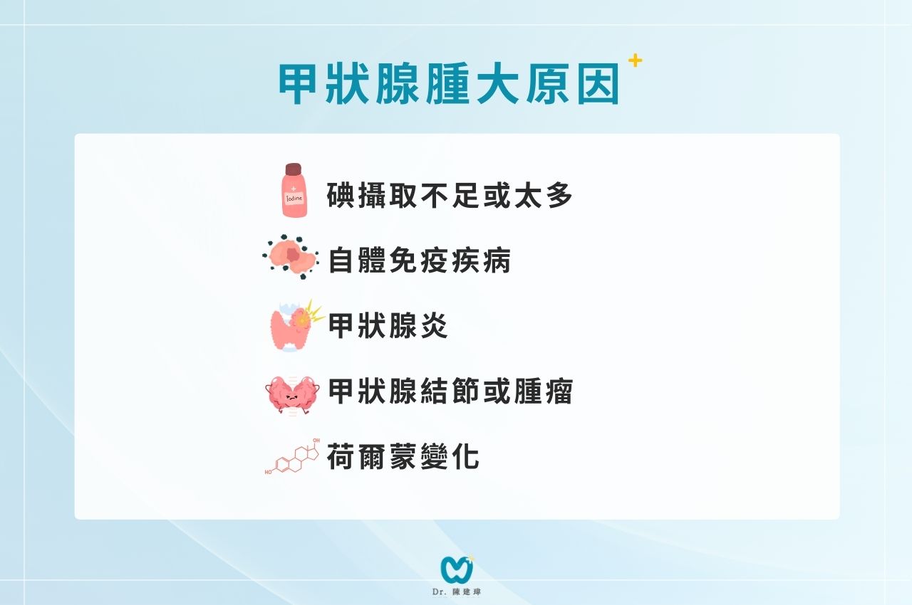 甲狀腺腫大原因